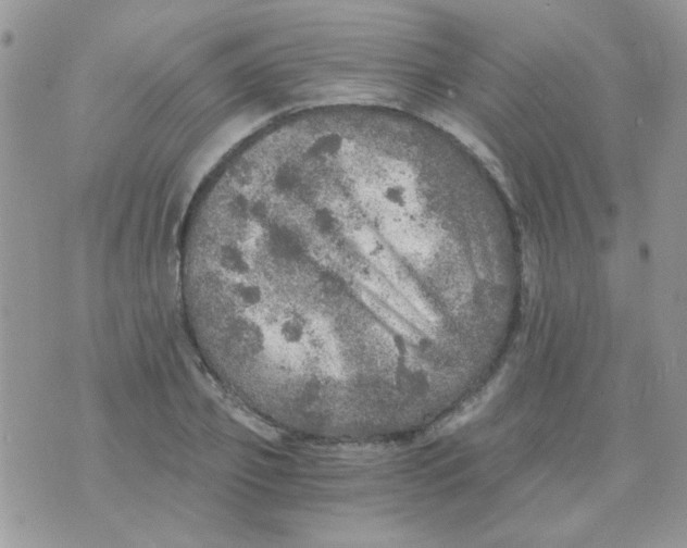 X0000073750933200608311931