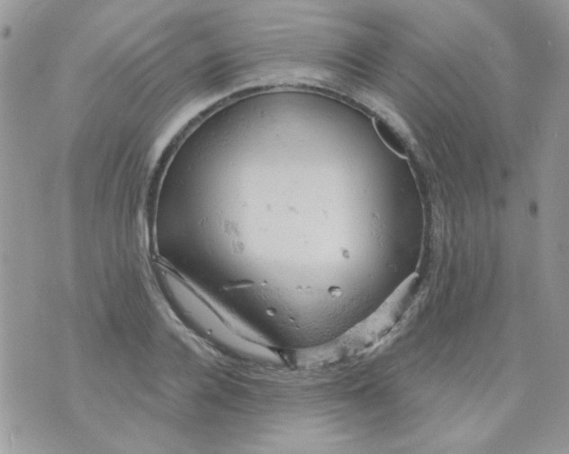 X0000073750936200608311931