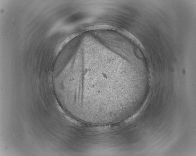 X0000073750937200608311931