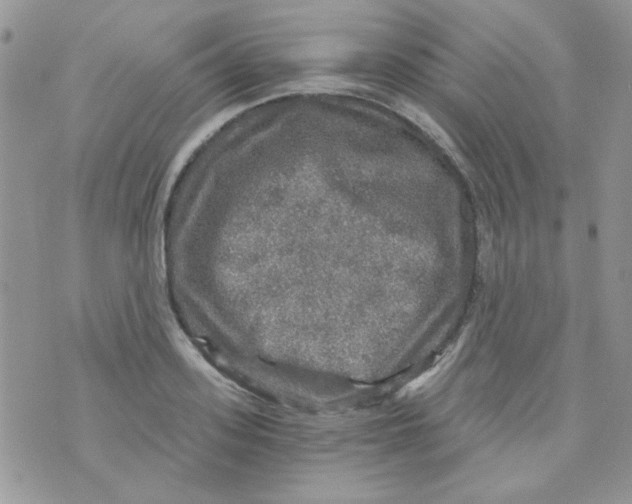 X0000073750939200608311931