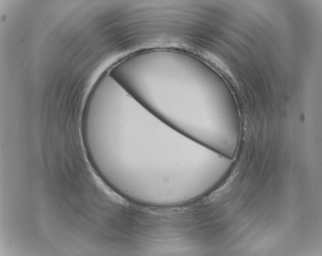 X0000073750942200608311932