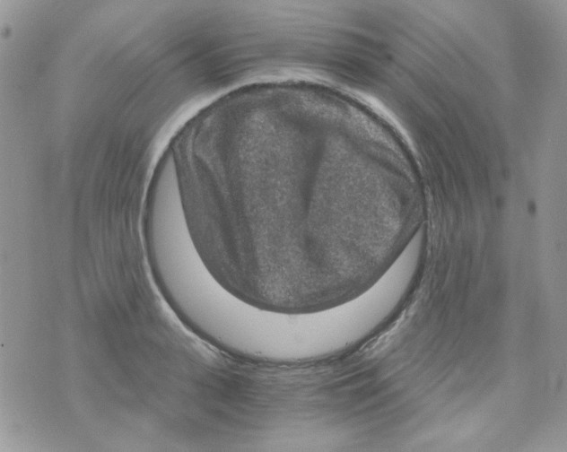 X0000073750943200608311932