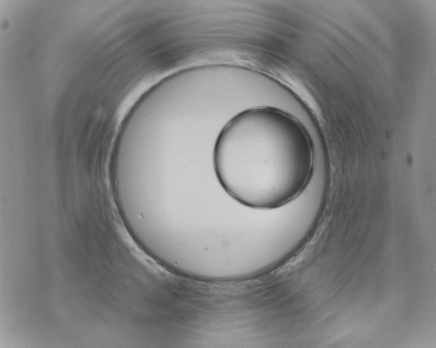 X0000073750944200608311932