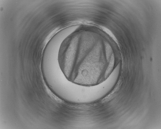 X0000073750946200608311932