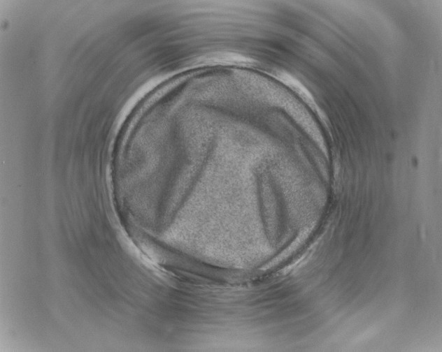 X0000073750947200608311932