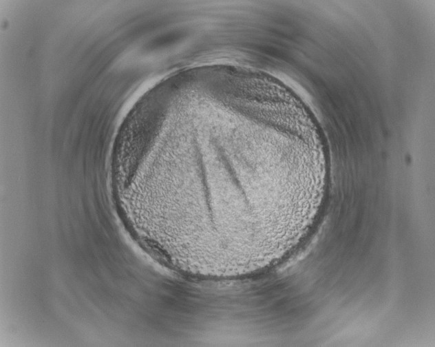 X0000073750949200608311932