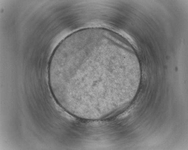 X0000073750950200608311932