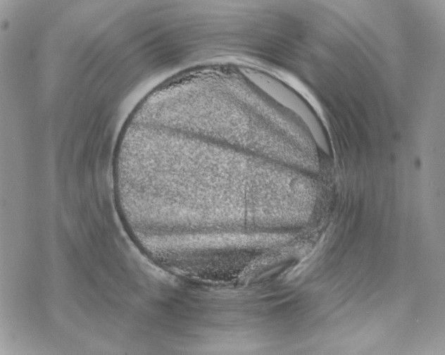 X0000073750951200608311932