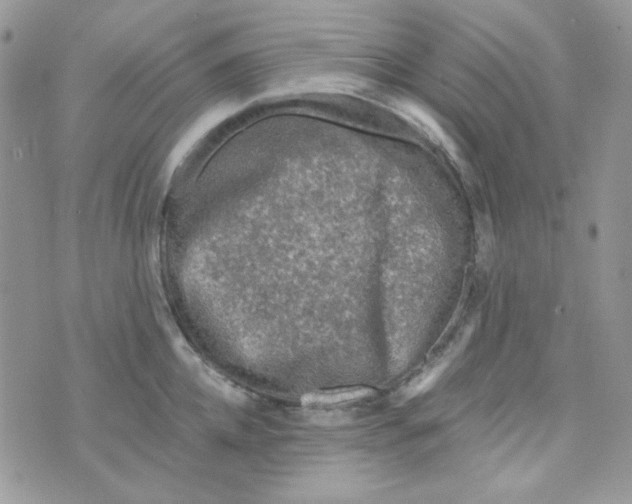 X0000073750952200608311932