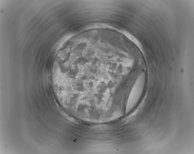 X0000073750953200608311932