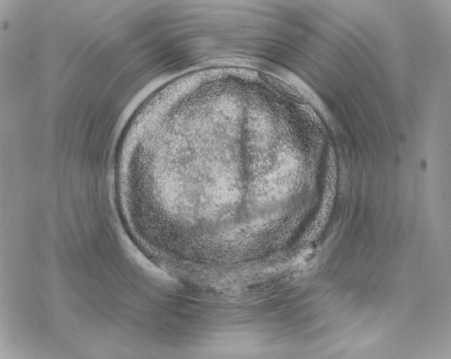 X0000073750955200608311932