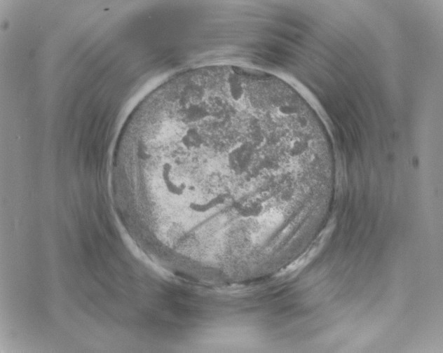 X0000073750957200608311932