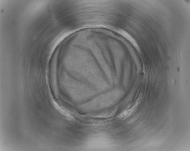 X0000073750958200608311932