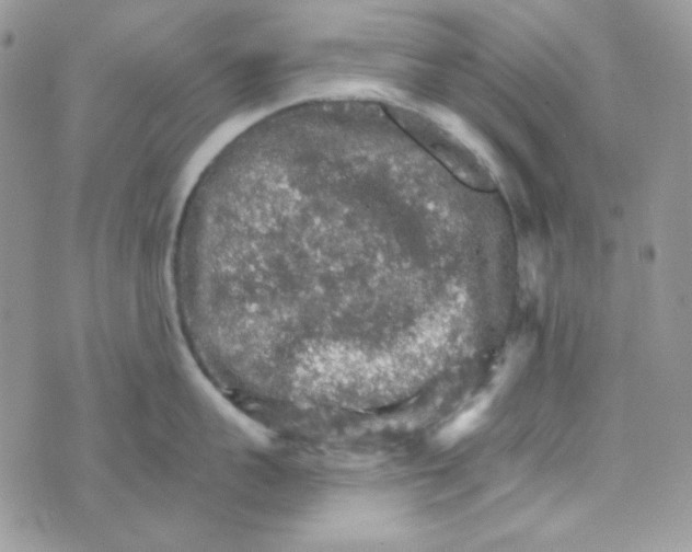 X0000073750959200608311932