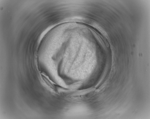 X0000073750960200608311932