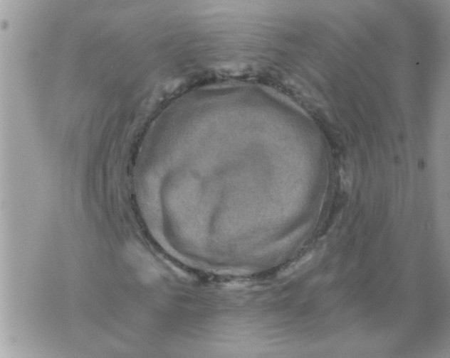 X0000073750961200608311931