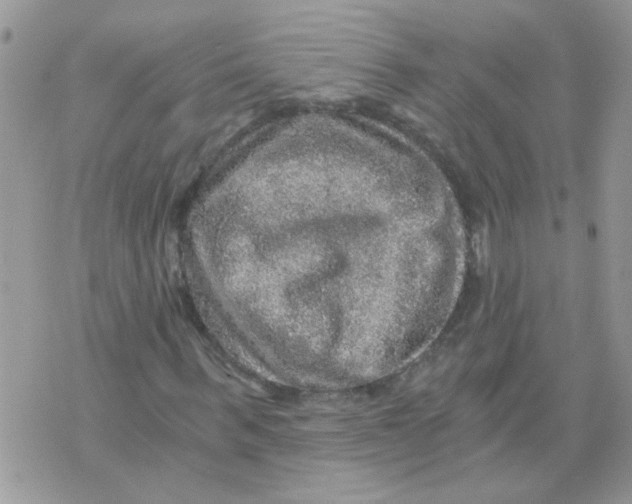 X0000073750963200608311931