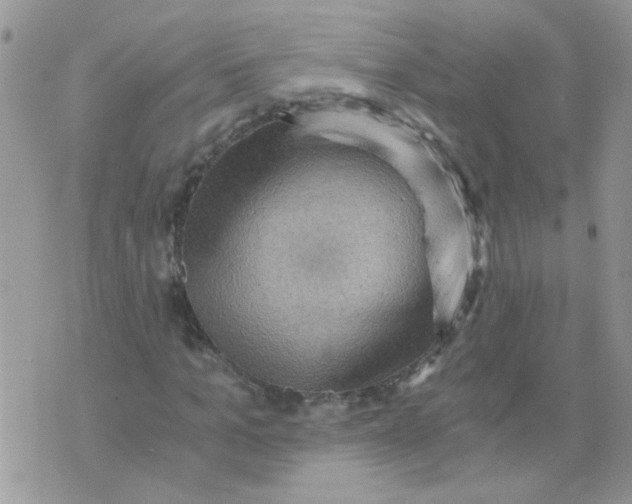 X0000073750965200608311931