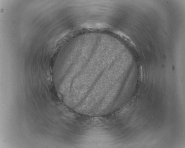 X0000073750966200608311931