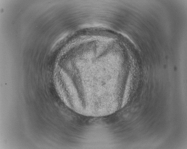 X0000073750967200608311931