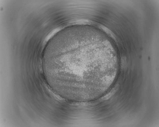 X0000073750970200608311931