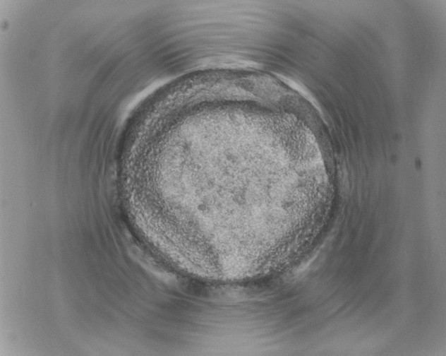 X0000073750971200608311931