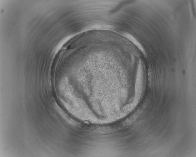 X0000073750972200608311931