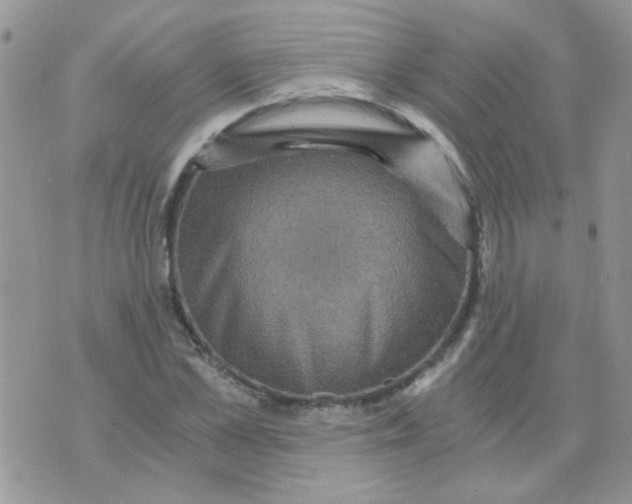 X0000073750973200608311931