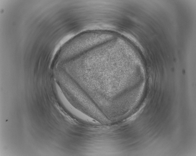 X0000073750974200608311931