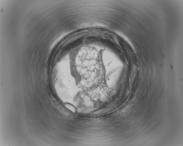 X0000073750975200608311931