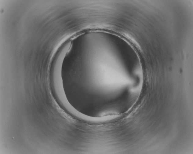 X0000073750976200608311931