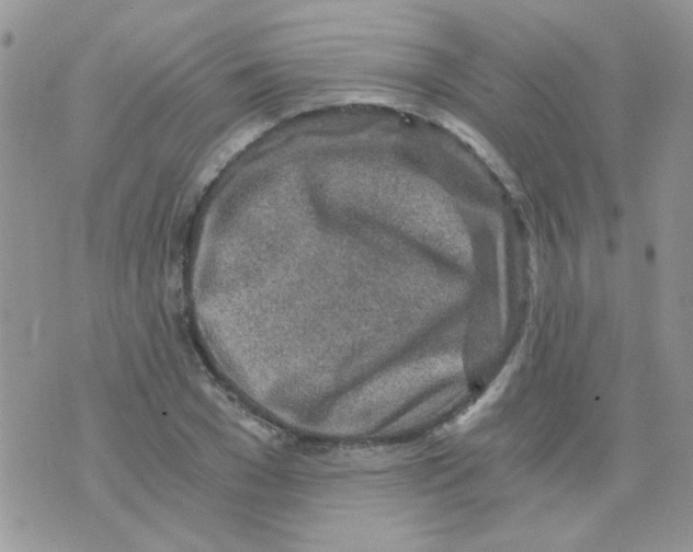 X0000073750977200608311931