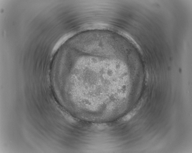 X0000073750978200608311931