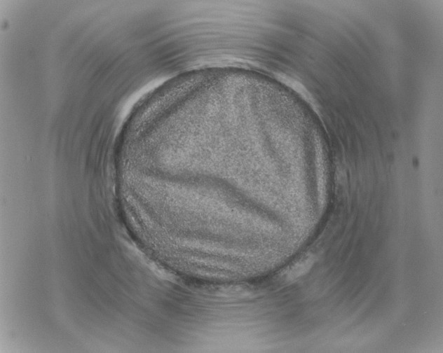 X0000073750979200608311931