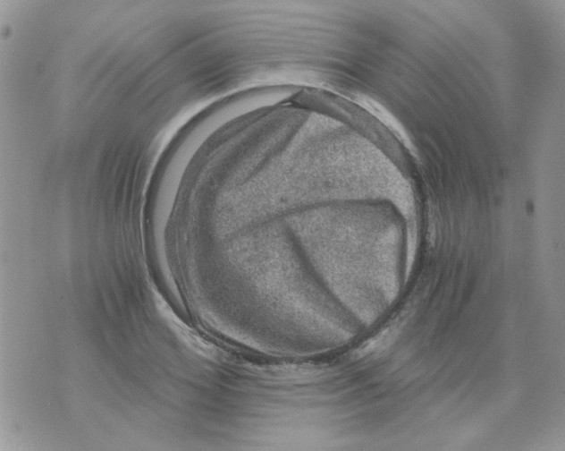 X0000073750980200608311931