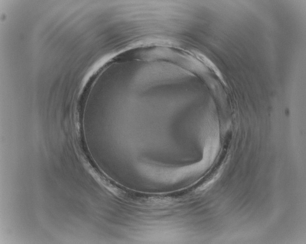 X0000073750981200608311931