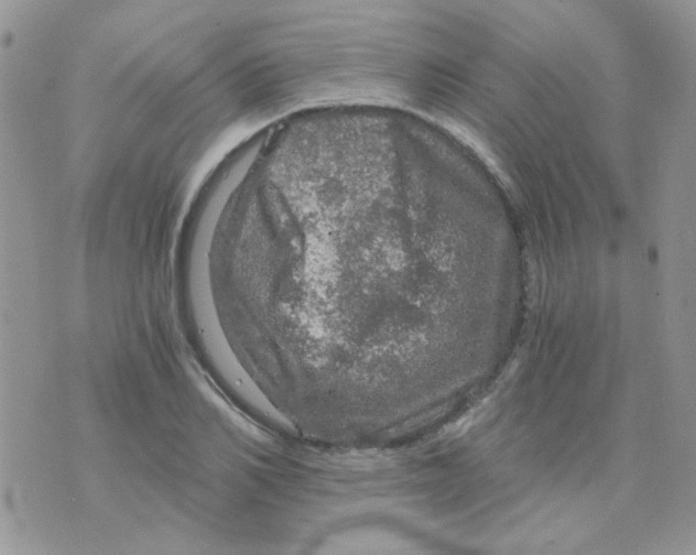 X0000073750982200608311931