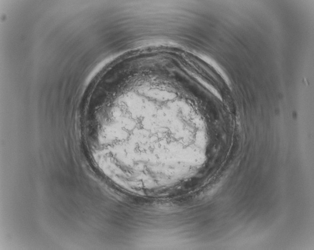 X0000073750983200608311931