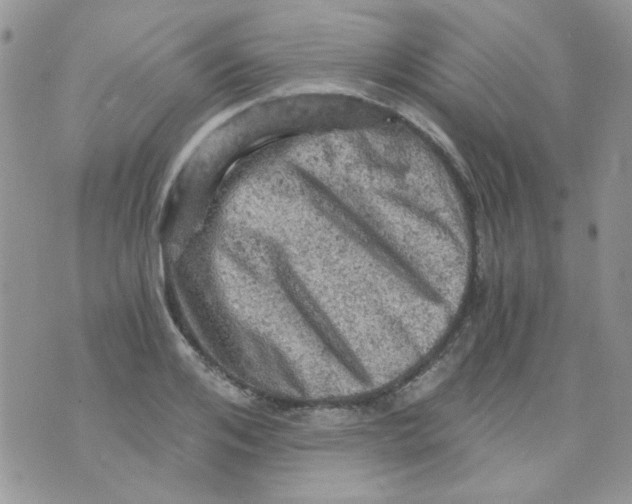 X0000073750984200608311931