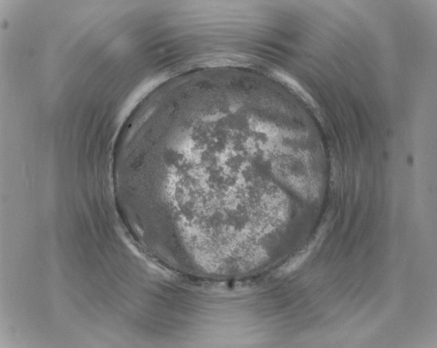 X0000073750986200608311931