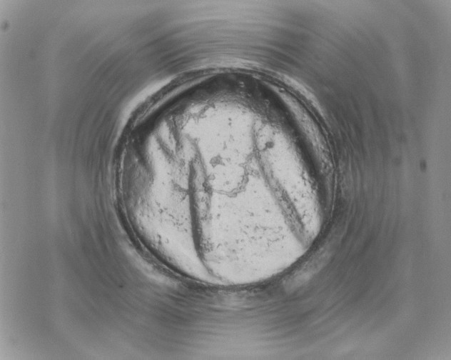 X0000073750987200608311931