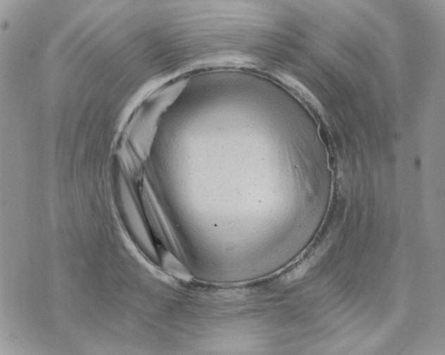 X0000073750989200608311931