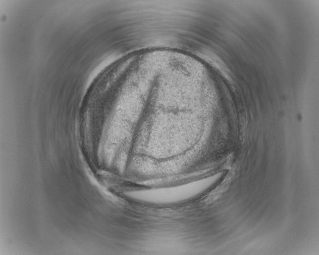 X0000073750991200608311931