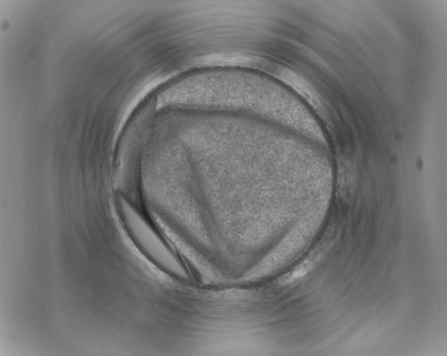 X0000073750992200608311931