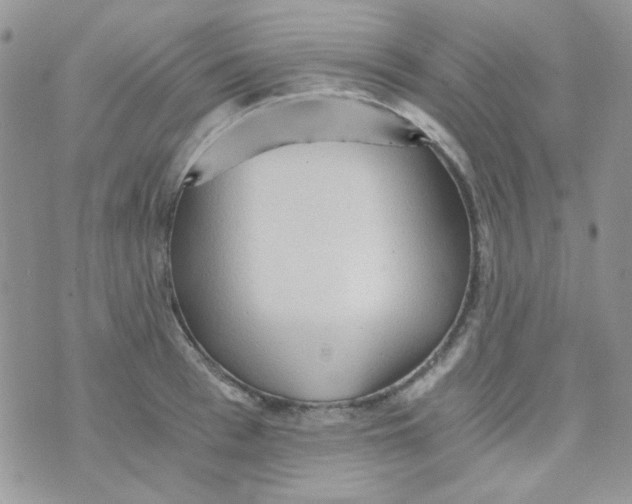 X0000073750993200608311931