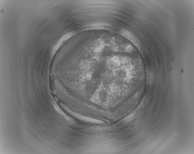 X0000073750994200608311931