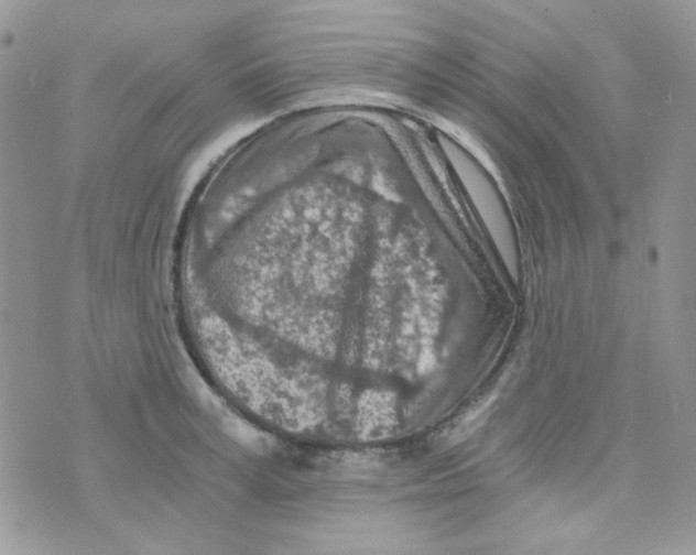 X0000073750995200608311930