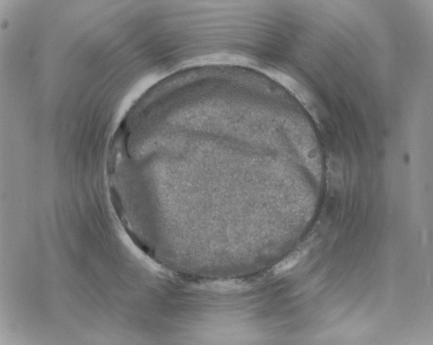 X0000073750998200608311930