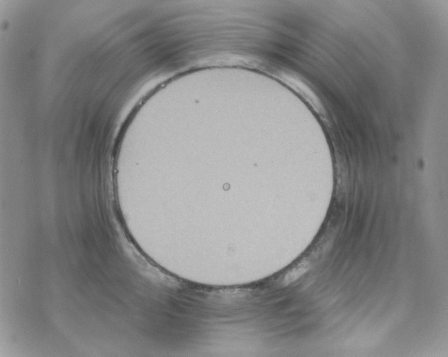 X0000073751000200608311930