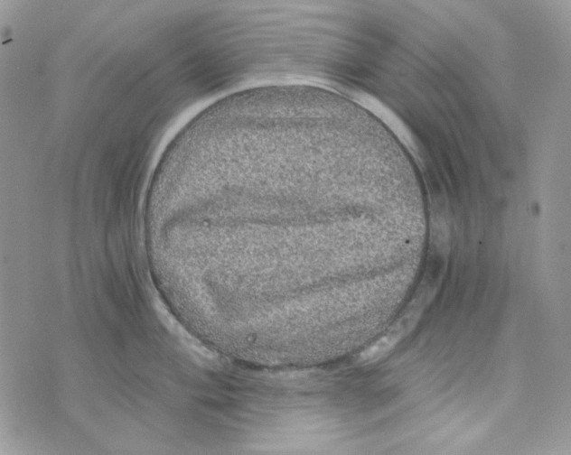 X0000073751004200608311930